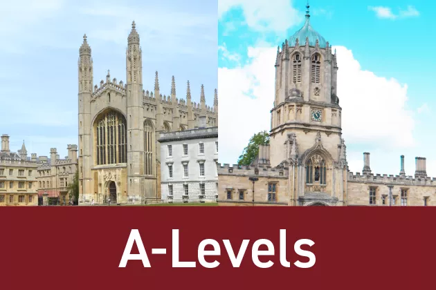 早稲田渋谷シンガポール校授業サポート